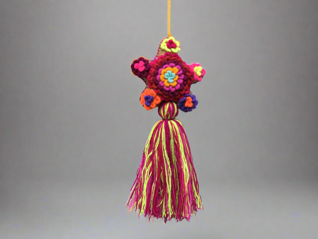 Handmade Hand Embroidered Mexican Felt Star Pom Pom Tassel - Rainbow