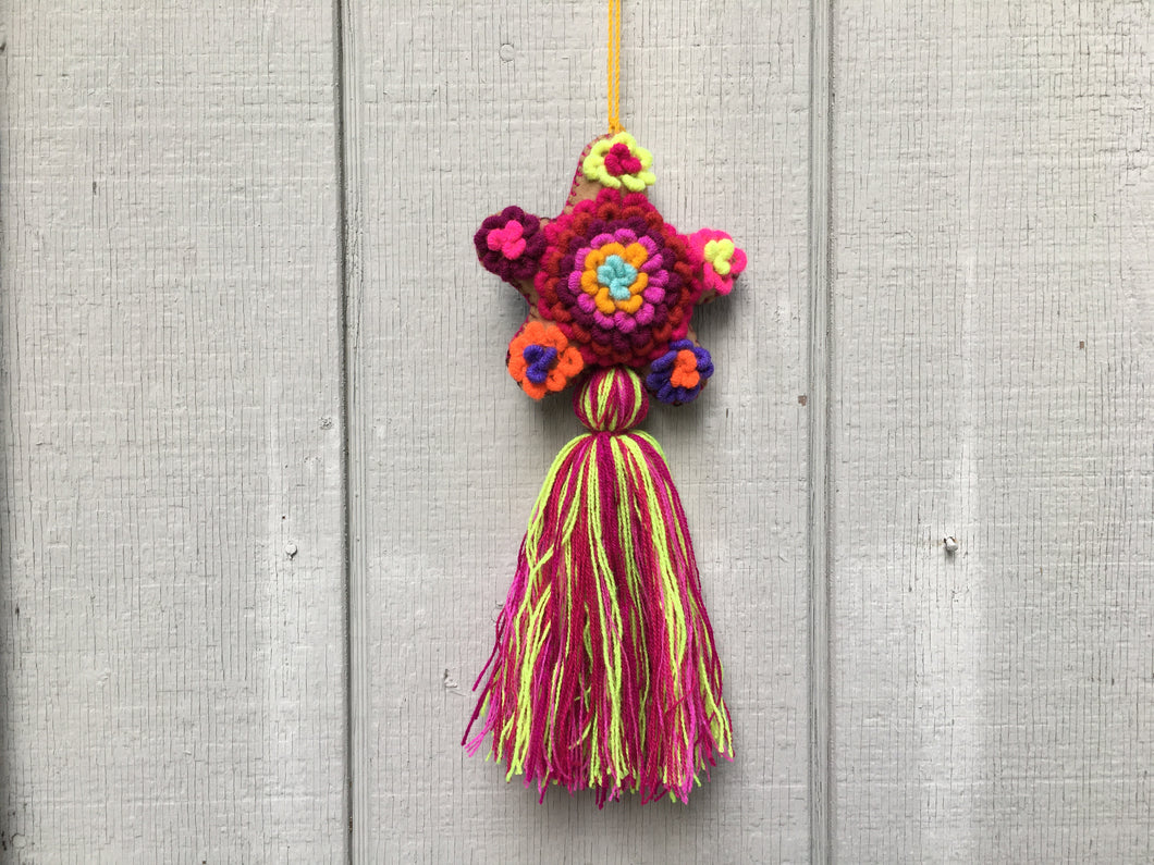 Handmade Hand Embroidered Mexican Felt Star Pom Pom Tassel - Rainbow